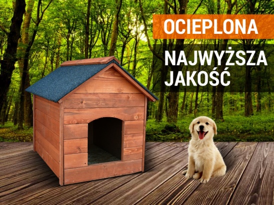 Kojec dla psa - wycena cała Polska schroniska, prywatnie